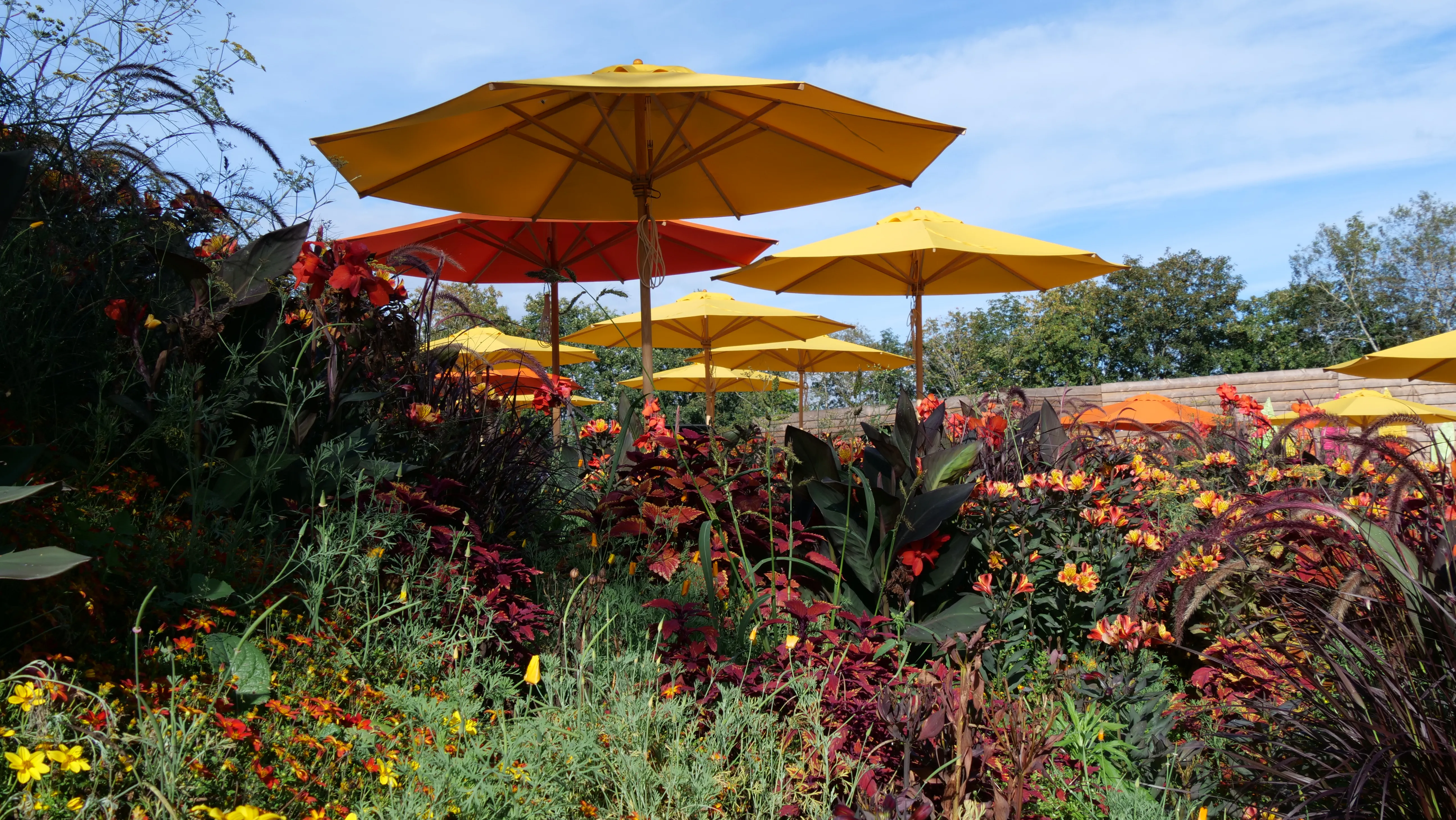 Garten-Lounge und Pergola
